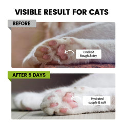 Pheromones for Cats: Soothing Patches Set