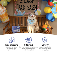 Pheromones for Cats: Soothing Patches Set