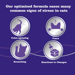 Calming Patches with Pheromones for Cats