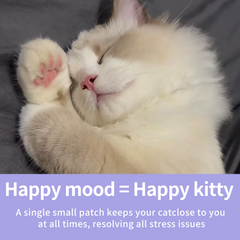 Pheromones for Cats: Soothing Patches Set
